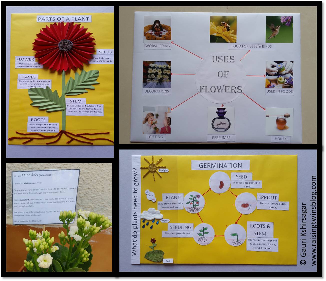 Flower Chart For Kindergarten