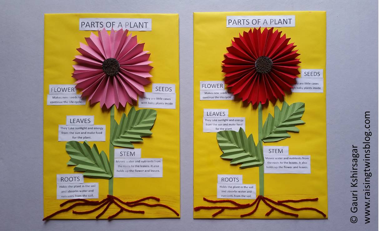 Flower Making With Chart Paper